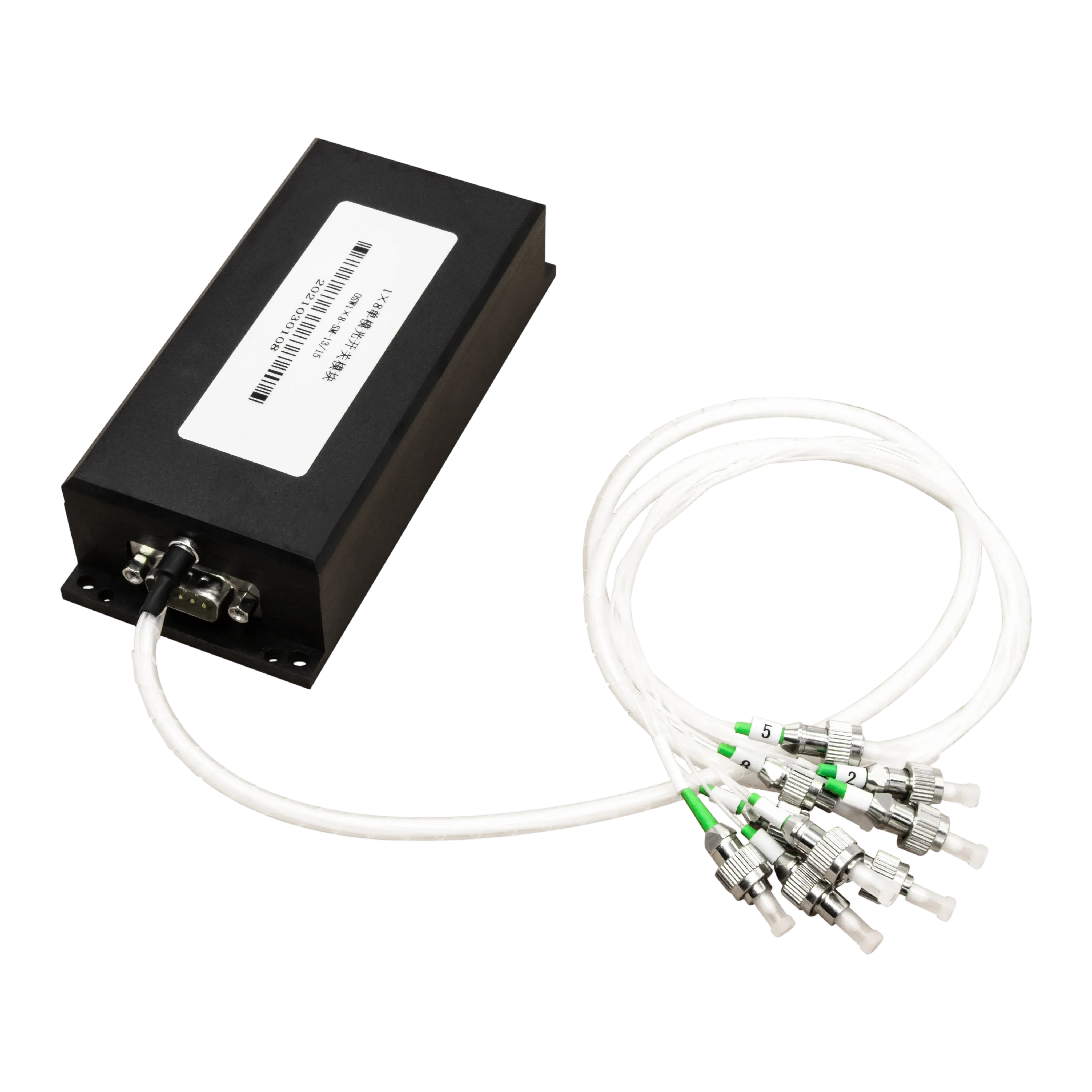 IMG_5253 拷贝.webp