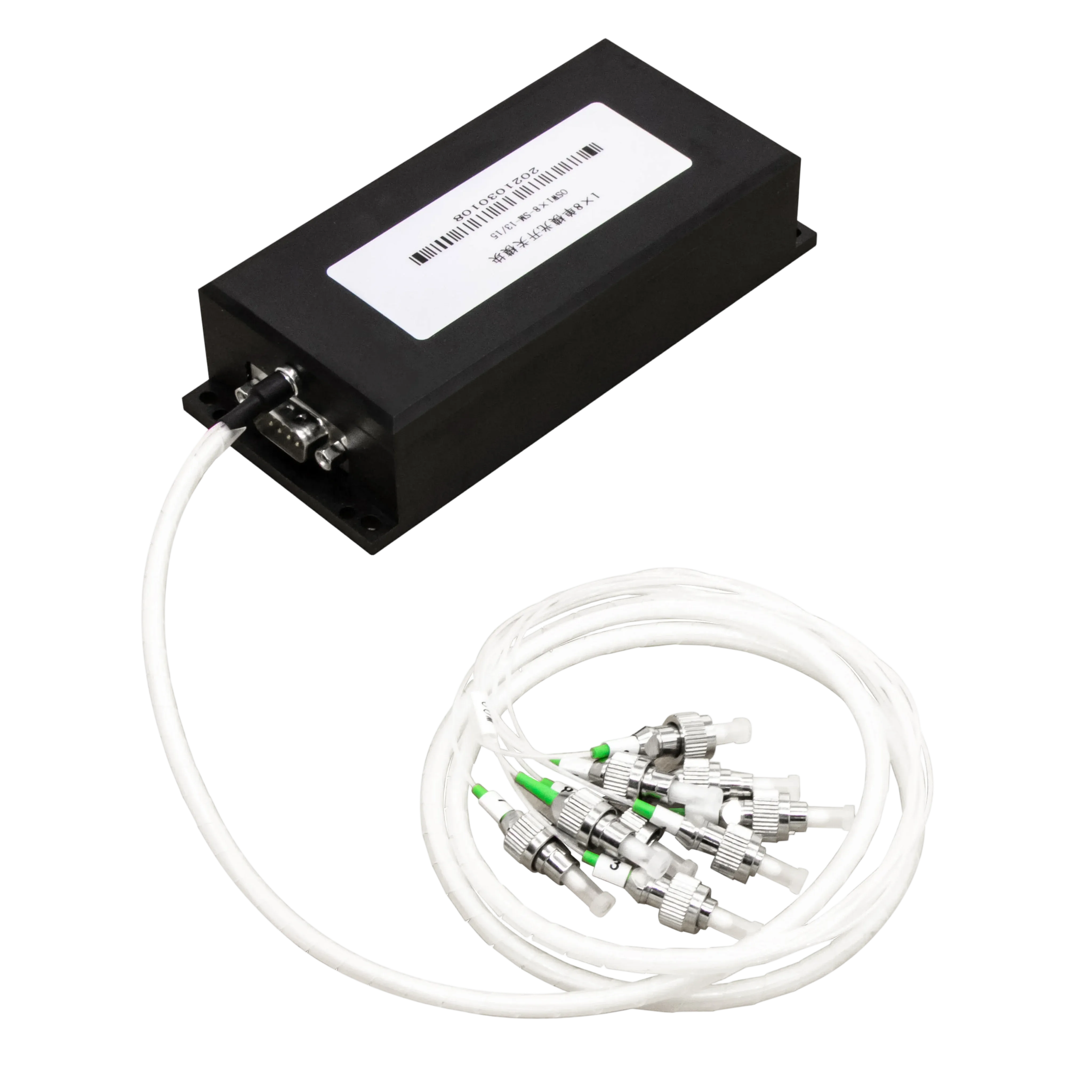 IMG_5249 拷贝.webp