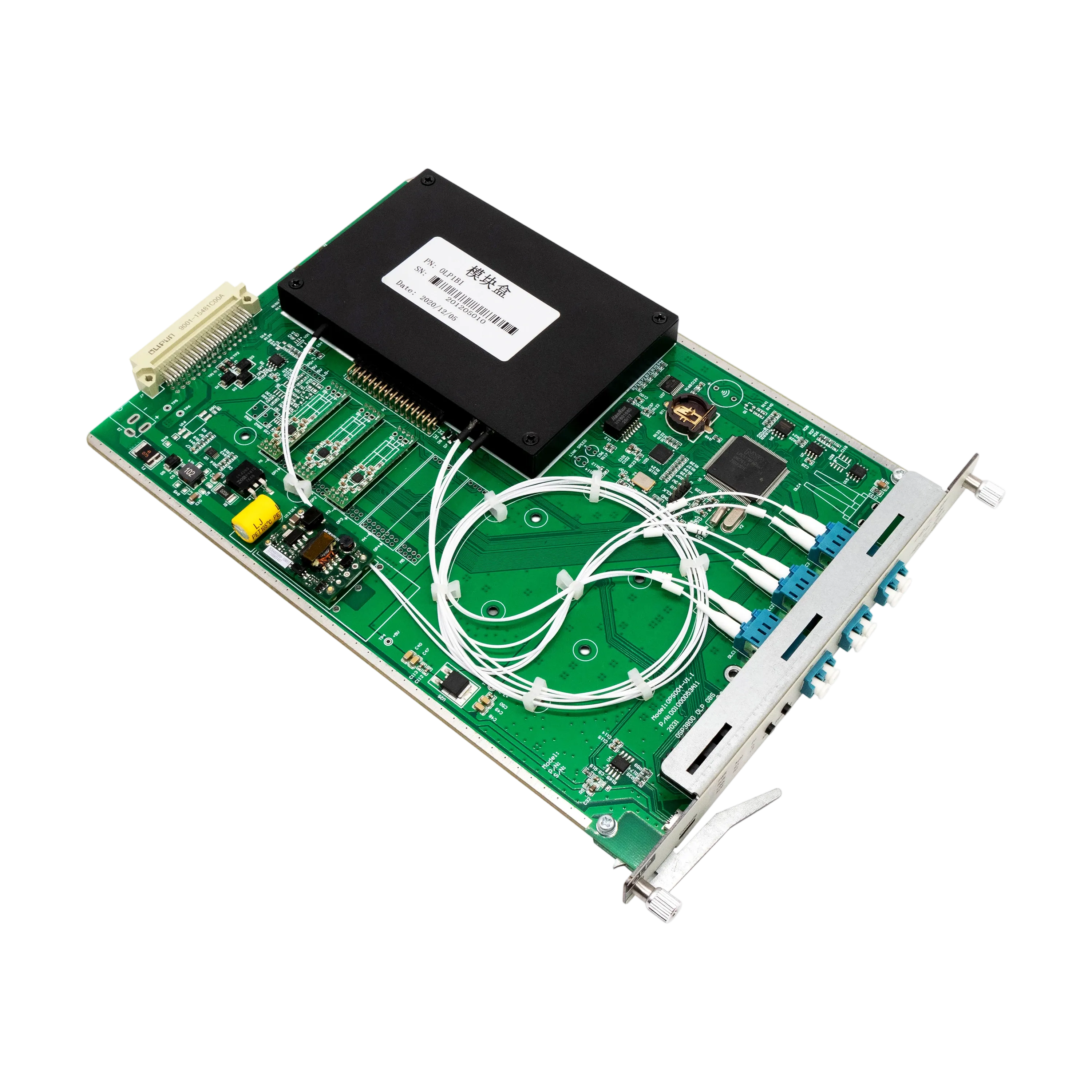 IMG_4562 拷贝.webp