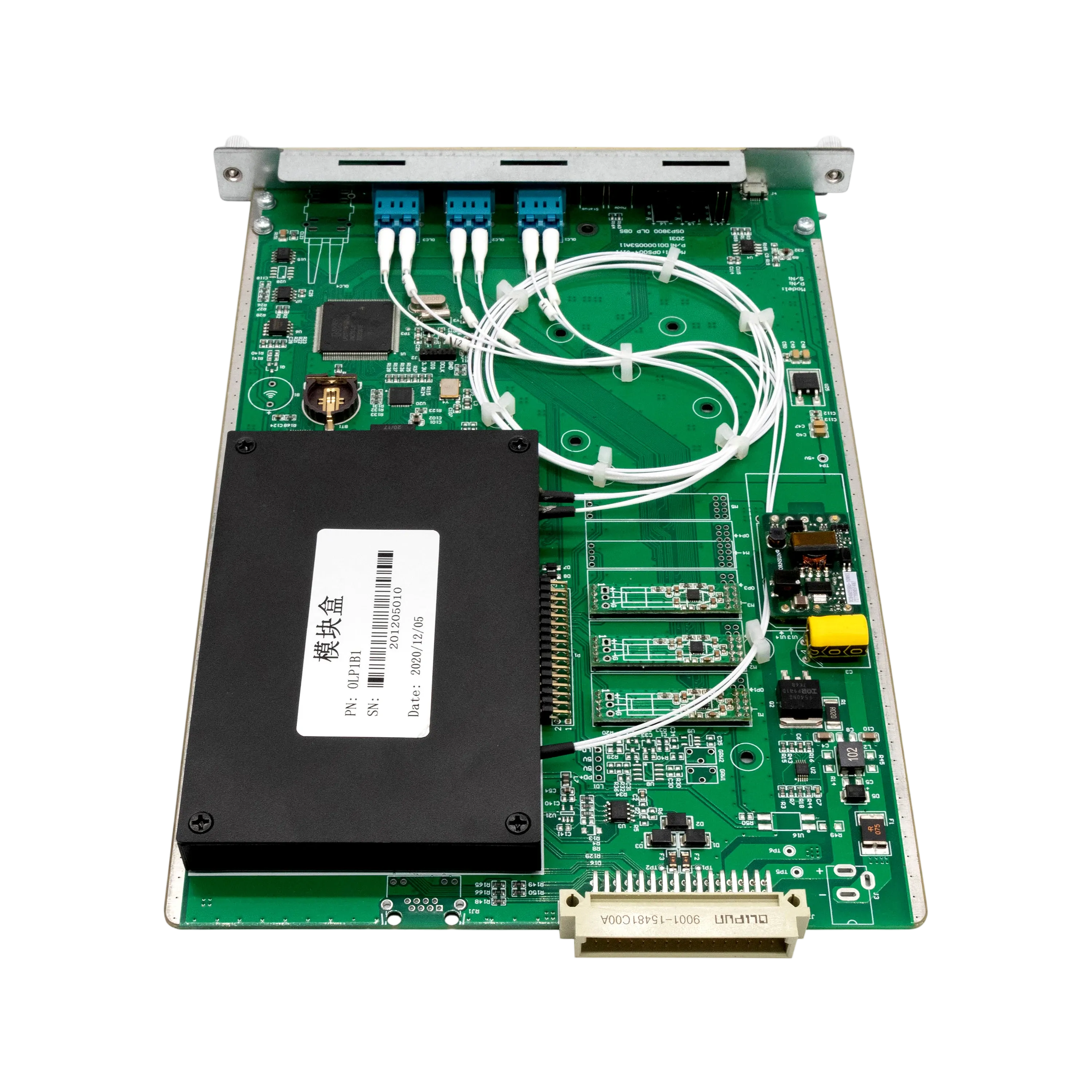 IMG_4563 拷贝.webp