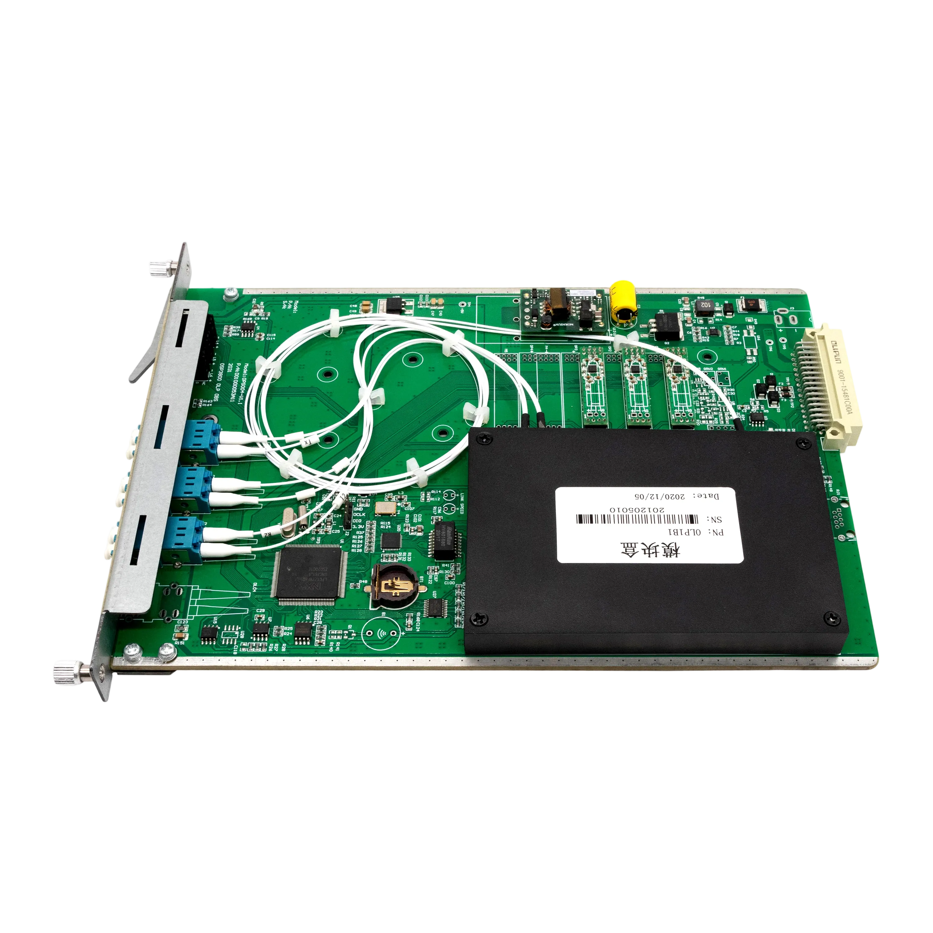 IMG_4565 拷贝.webp