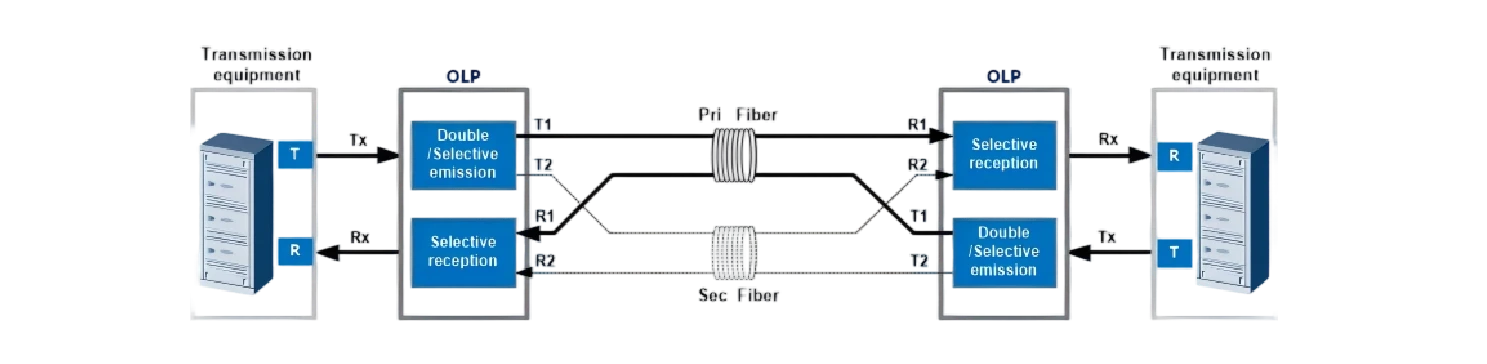 容器 28@1x (1).webp
